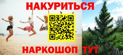 крисы Усть-Джегута