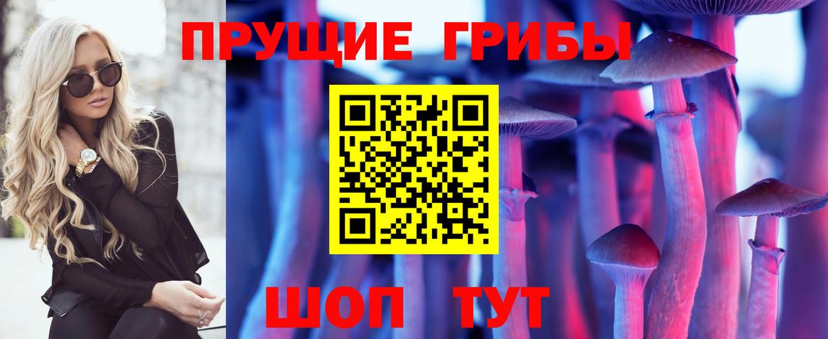 Галлюциногенные грибы Psilocybe  где купить наркоту  Псилоцибиновые грибы ЛСД  Видное  Вход с VPN 